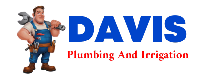 Trusted plumber in CHIRENO